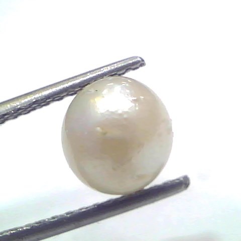 3.37 Ct Natural Certified Real South Sea Pearl Certified Moti