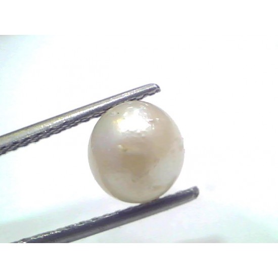 3.37 Ct Natural Certified Real South Sea Pearl Certified Moti