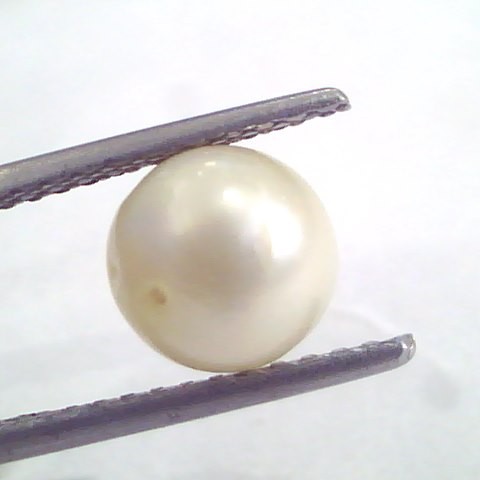 4.69 Ct Natural Certified Real South Sea Pearl,Certified Moti