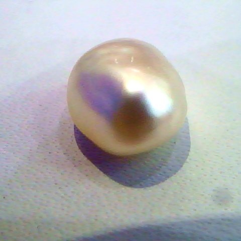 3.23 Ct Certified Real Pearl From Venunjula,Real Natural Moti