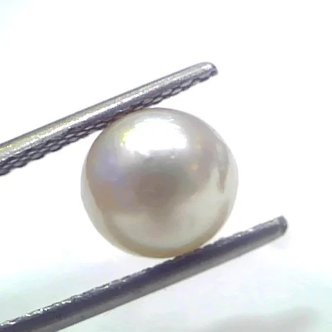 Ct Natural Certified Real South Sea Pearl Certified Moti