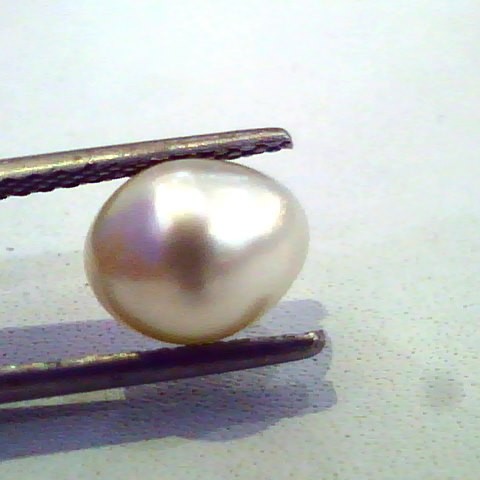 3.28 Ct Certified Natural Venunjula Real Pearl/Real Moti