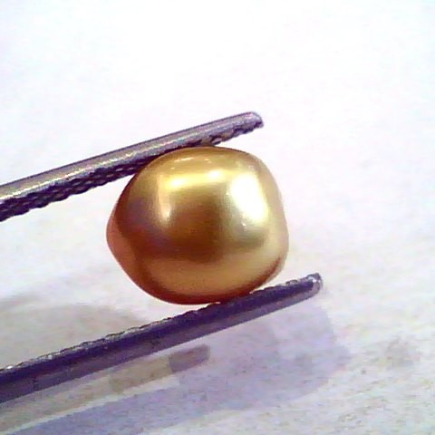 3.34 Ct Certified Natural Venunjula Real Pearl/Real Moti