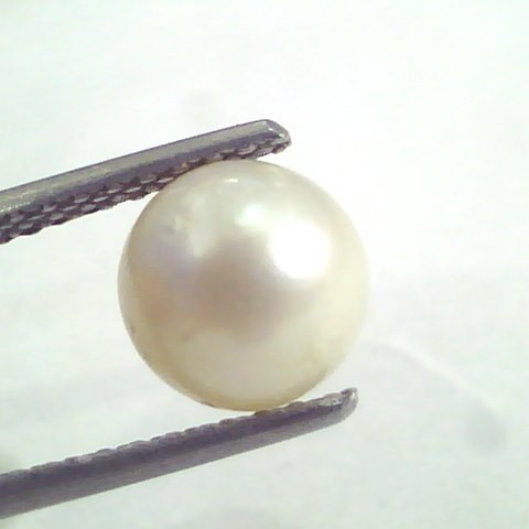 4.70 Ct Natural Certified Real South Sea Pearl,Certified Moti