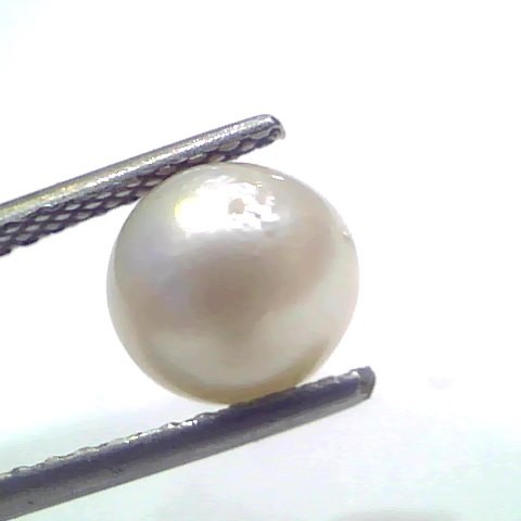 3.51 Ct Natural Certified Real South Sea Pearl Certified Moti