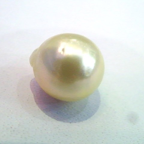 4.05 Carat Natural Certified Real South Sea Pearl,Certified Moti