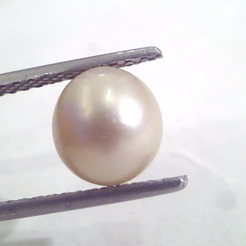 4.83 Ct Natural Certified Real South Sea Pearl,Certified Moti
