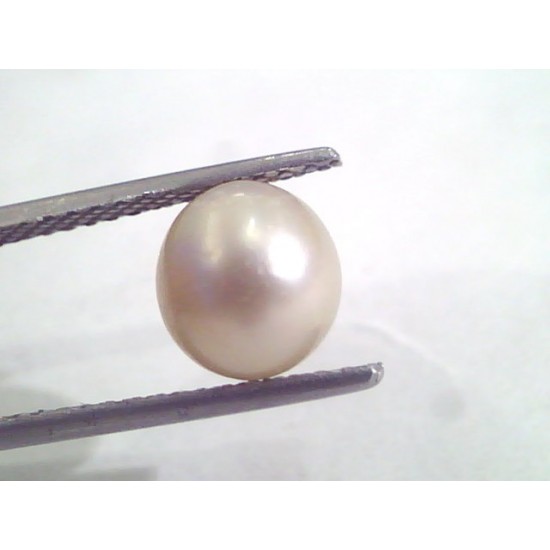 4.83 Ct Natural Certified Real South Sea Pearl,Certified Moti