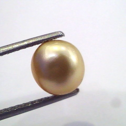 3.43 Ct Certified Natural Venunjula Real Pearl/Real Moti For Moon