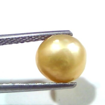 3.41 Ct Certified Natural Venunjula Real Sea Pearl, Real Moti