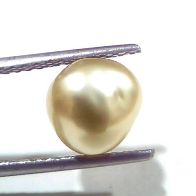 3.46 Ct Certified Natural Venunjula Real Sea Pearl, Real Moti