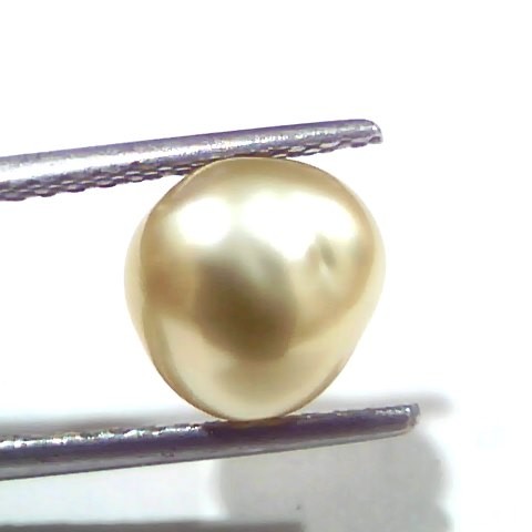 3.46 Ct Certified Natural Venunjula Real Sea Pearl, Real Moti