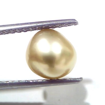 3.46 Ct Certified Natural Venunjula Real Sea Pearl, Real Moti