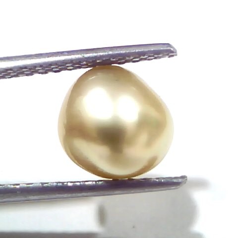 3.46 Ct Certified Natural Venunjula Real Sea Pearl, Real Moti