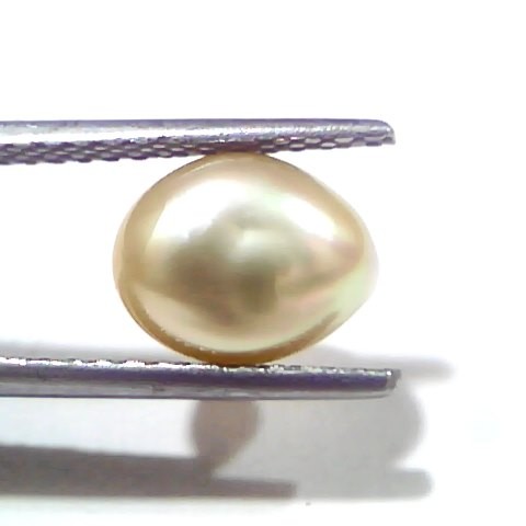 3.47 Ct Certified Natural Venunjula Real Sea Pearl, Real Moti