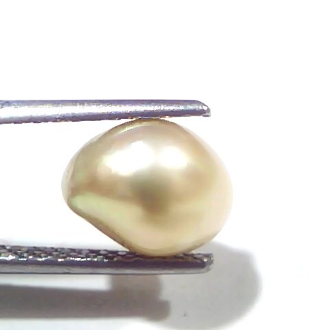 3.47 Ct Certified Natural Venunjula Real Sea Pearl, Real Moti