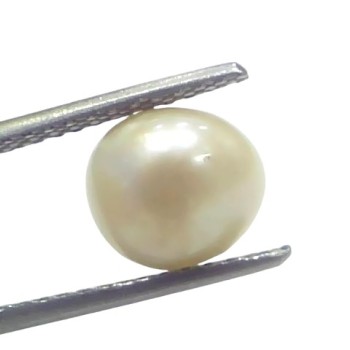 3.48 Ct Certified Natural Venunjula Real Sea Pearl Real Moti For Moon 3.48 Ct Certified Natural Venunjula Real Sea Pearl Real Moti For Moon