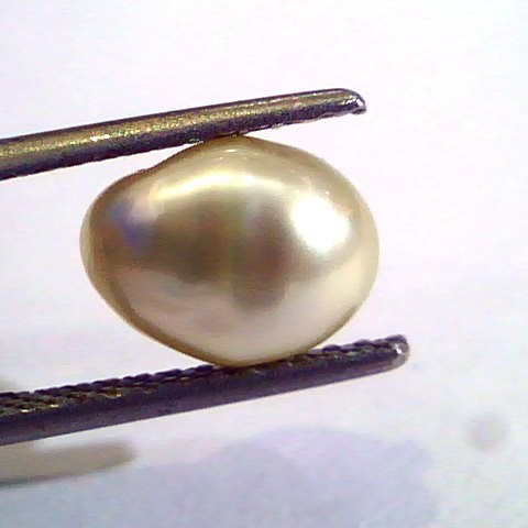 3.49 Ct Certified Natural Venunjula Real Pearl/Real Moti For Moon