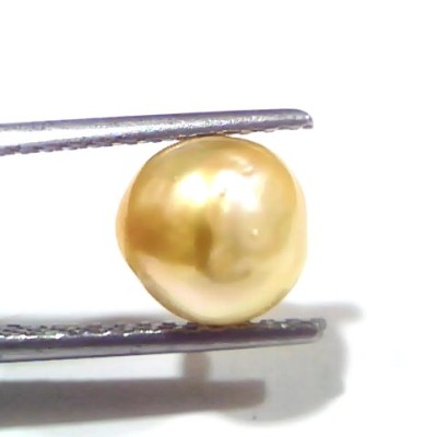 3.49 Ct Certified Natural Venunjula Real Sea Pearl, Real Moti