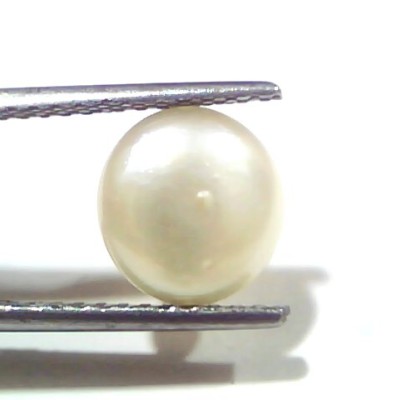 3.50 Ct Certified Natural Venunjula Real Sea Pearl, Real Moti