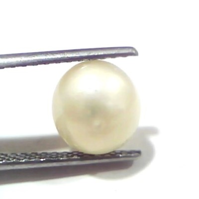 3.50 Ct Certified Natural Venunjula Real Sea Pearl, Real Moti