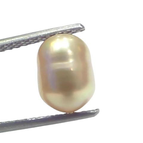 3.52 Ct Certified Natural Venunjula Real Sea Pearl Real Moti For Moon 3.52 Ct Certified Natural Venunjula Real Sea Pearl Real Moti For Moon