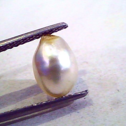 3.52 Ct Certified Natural Venunjula Real Pearl/Real Moti