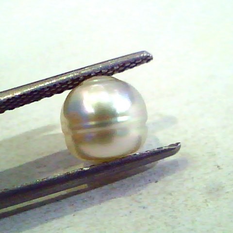 3.53 Ct Certified Natural Venunjula Real Pearl/Real Moti