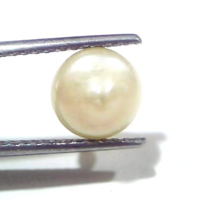 3.54 Ct Certified Natural Venunjula Real Sea Pearl, Real Moti