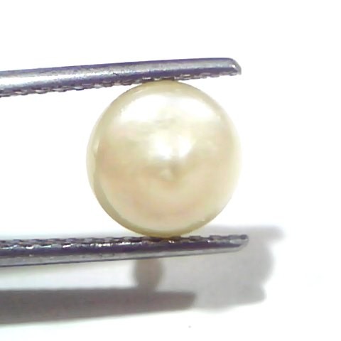 3.54 Ct Certified Natural Venunjula Real Sea Pearl, Real Moti