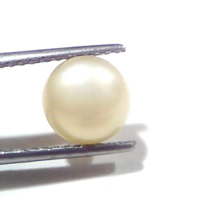 3.54 Ct Certified Natural Venunjula Real Sea Pearl, Real Moti