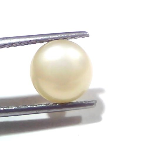 3.54 Ct Certified Natural Venunjula Real Sea Pearl, Real Moti