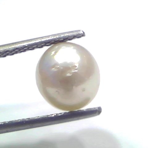 3.71 Ct Natural Certified Real South Sea Pearl Certified Moti