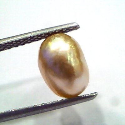 3.55 Ct Certified Natural Venunjula Real Sea Pearl, Real Moti