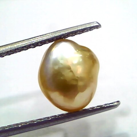 3.57 Ct Certified Natural Venunjula Real Sea Pearl, Real Moti