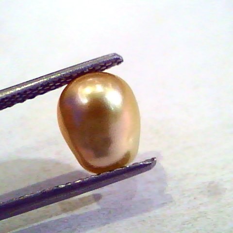 3.60 Ct Certified Natural Venunjula Real Pearl/Real Moti