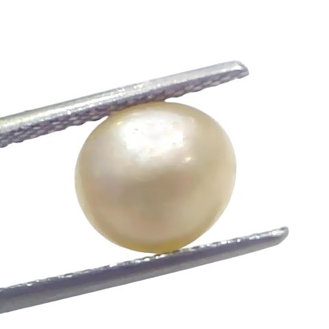 3.66 Ct Certified Natural Venunjula Real Sea Pearl Real Moti For Moon 3.66 Ct Certified Natural Venunjula Real Sea Pearl Real Moti For Moon