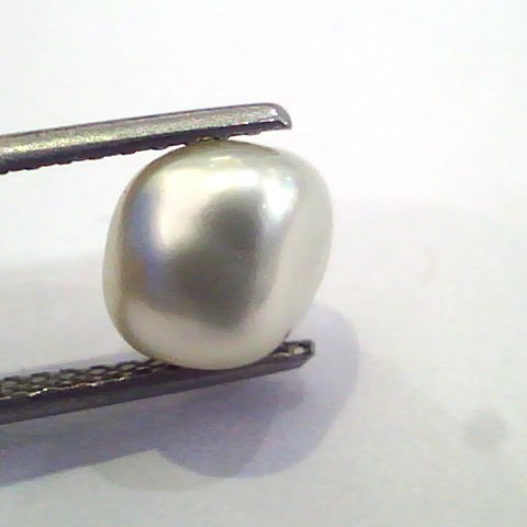 3.67 Ct Certified Natural Venunjula Real Pearl/Real Moti For Moon