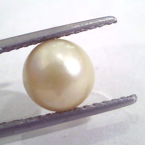 4.86 Ct Natural Certified Real South Sea Pearl,Certified Moti