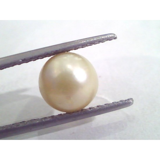 4.86 Ct Natural Certified Real South Sea Pearl,Certified Moti