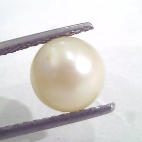 4.86 Ct Natural Certified Real South Sea Pearl,Moti