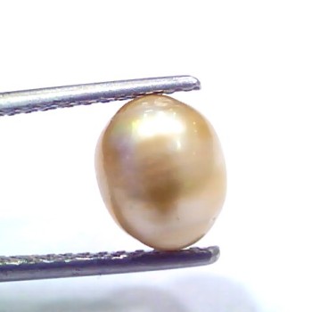 3.43 Ct 7.66 Chaw Natural Real Basra Pearl Moti Certified *RARE