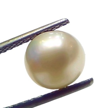 3.80 Ct Natural Certified Real South Sea Pearl Certified Moti 3.80 Ct Natural Certified Real South Sea Pearl Certified Moti