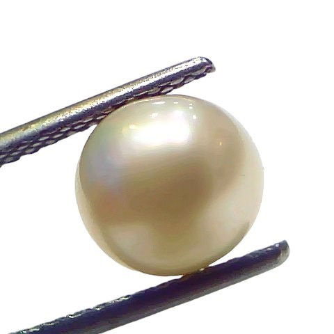 3.80 Ct Natural Certified Real South Sea Pearl Certified Moti 3.80 Ct Natural Certified Real South Sea Pearl Certified Moti