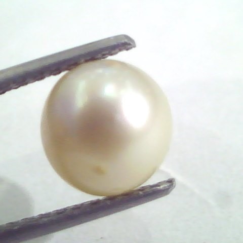 3.85 Ct Natural Certified Real South Sea Pearl,Certified Moti
