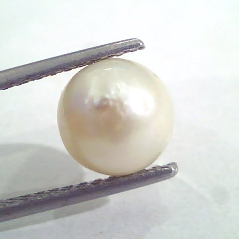 3.88 Ct Natural Certified Real South Sea Pearl,Certified Moti