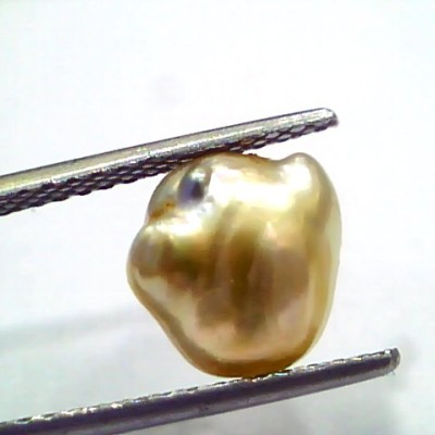 3.86 Ct Certified Natural Venunjula Real Sea Pearl, Real Moti