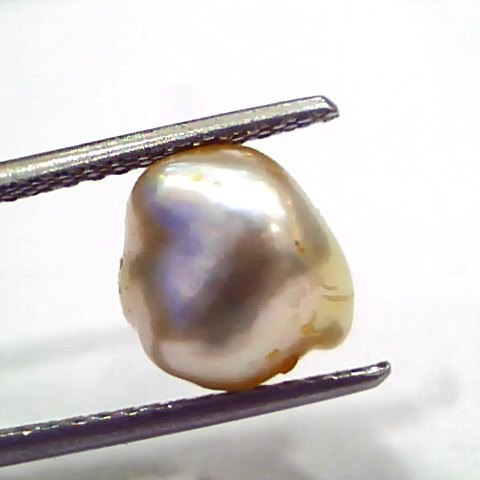 3.86 Ct Certified Natural Venunjula Real Sea Pearl, Real Moti