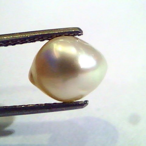 3.87 Ct Certified Natural Venunjula Real Pearl/Real Moti For Moon