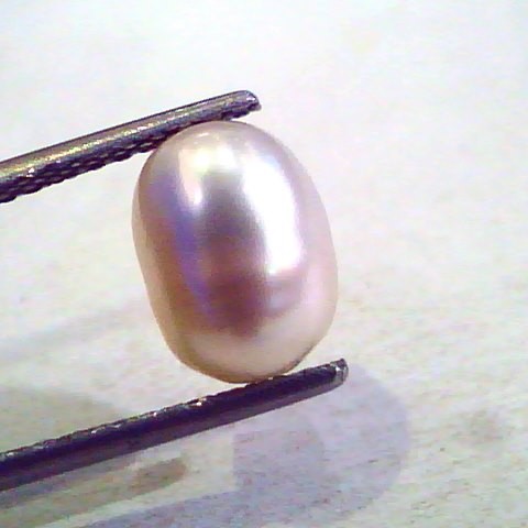 3.92 Ct Certified Natural Venunjula Real Pearl/Real Moti